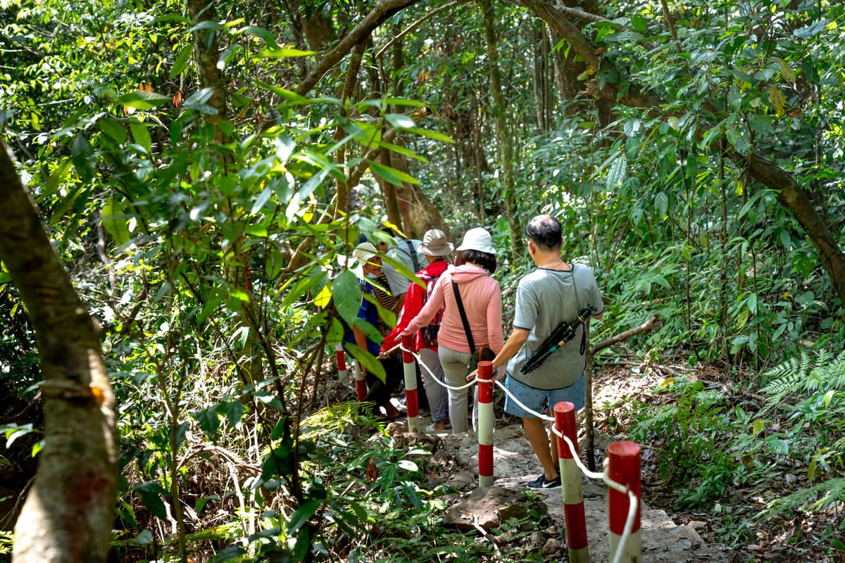 Jungle Explorers