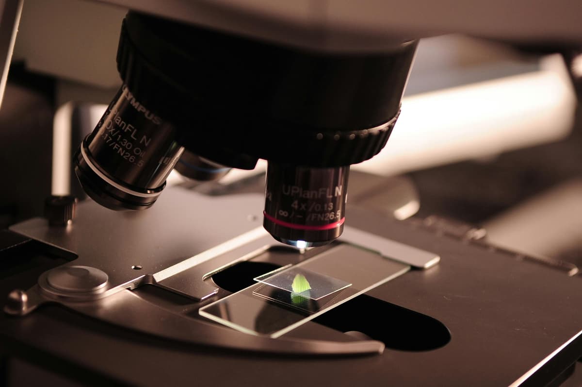 Microscope Magic