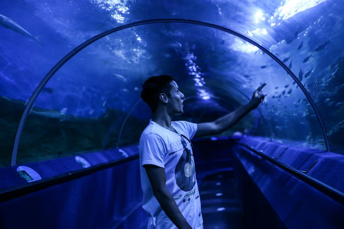 Water World